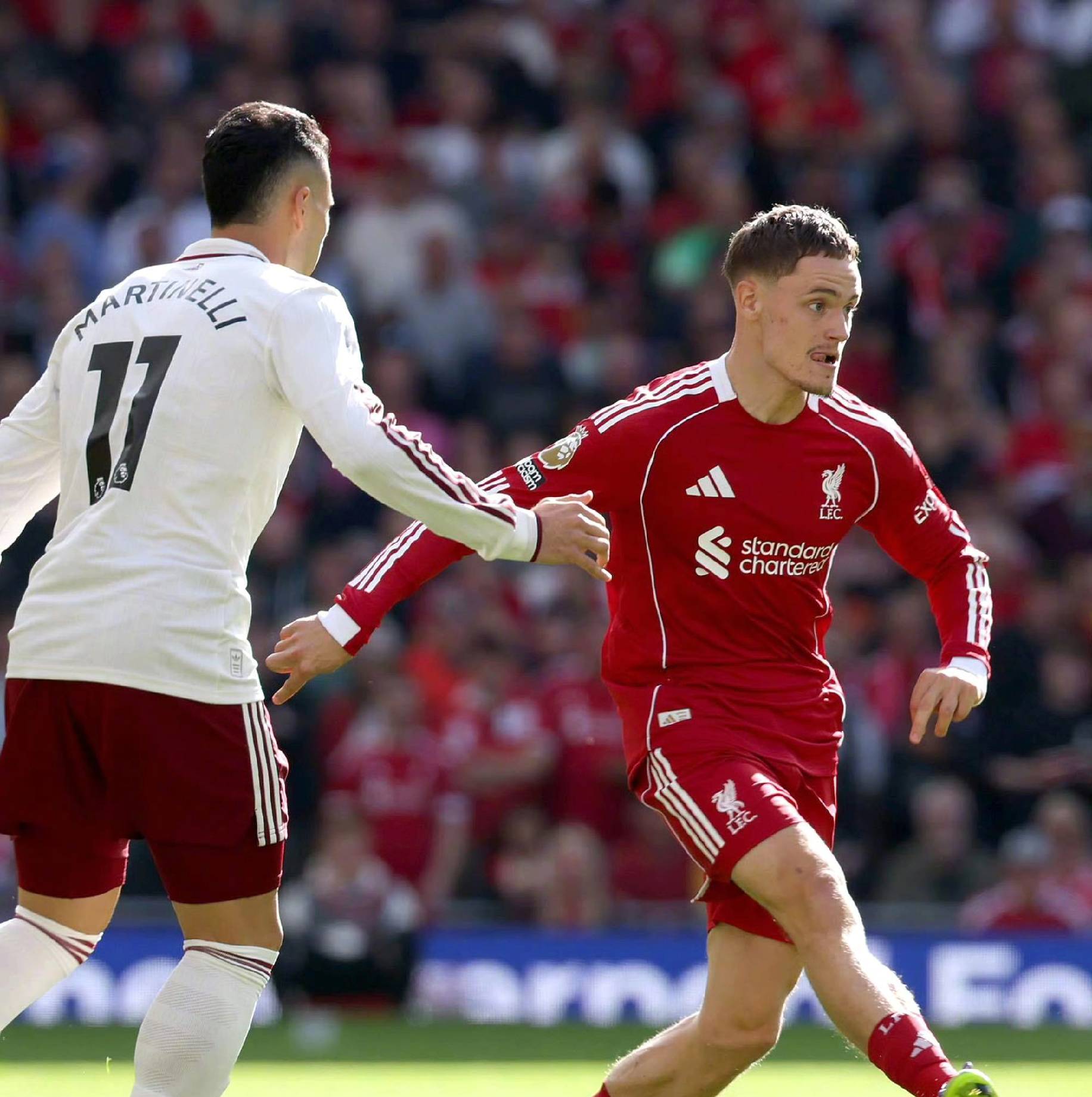 向来以培养 向来以培养